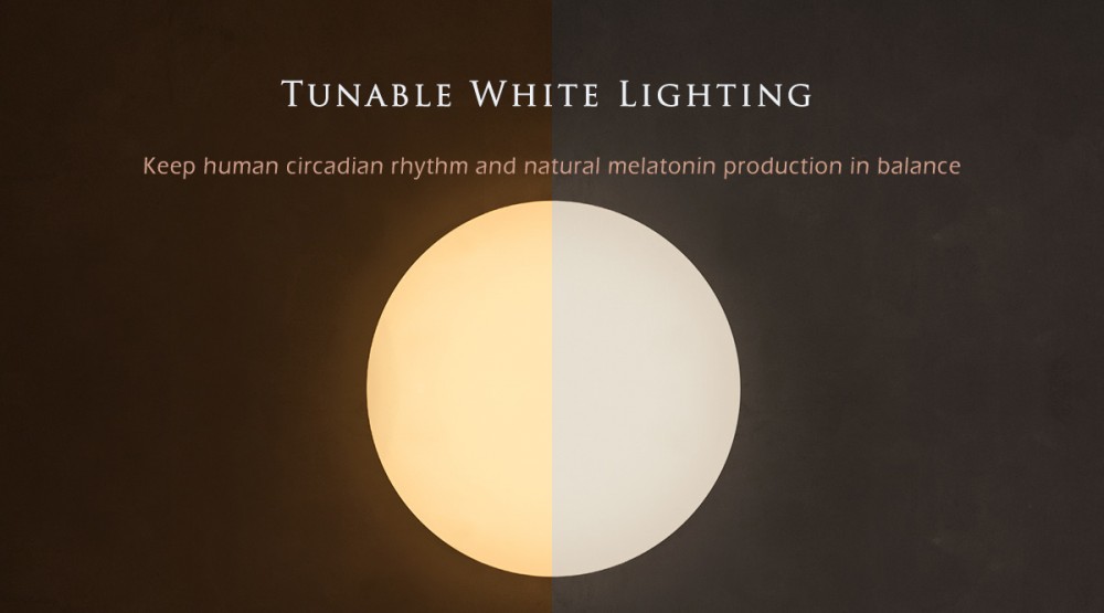 Tunable White LED Ceiling Light