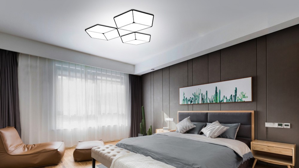 Flush Mount Ceiling Light