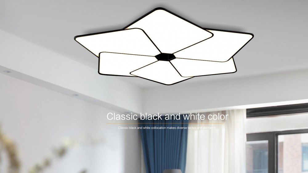 Modern Ceiling Light