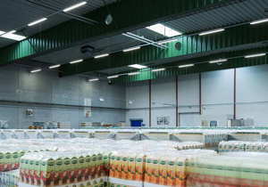 Smart LED Tri-Proof Lights for Industrial, Warehouse, Food Processing Facilities