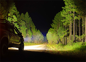 Livid LED Driving Lights for Trucks and Cars Put Benchmark Performance Within Reach