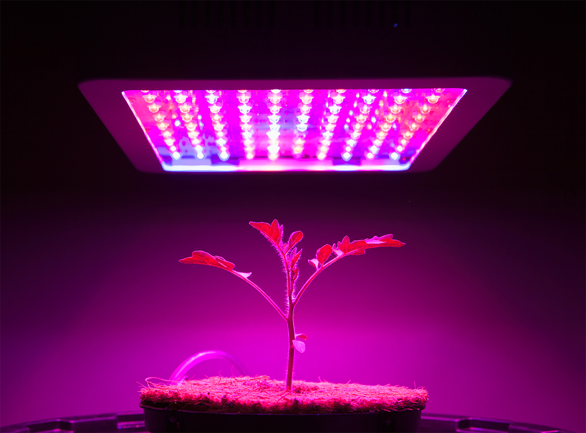 forslag hypotese lommetørklæde Best LED Grow Lights