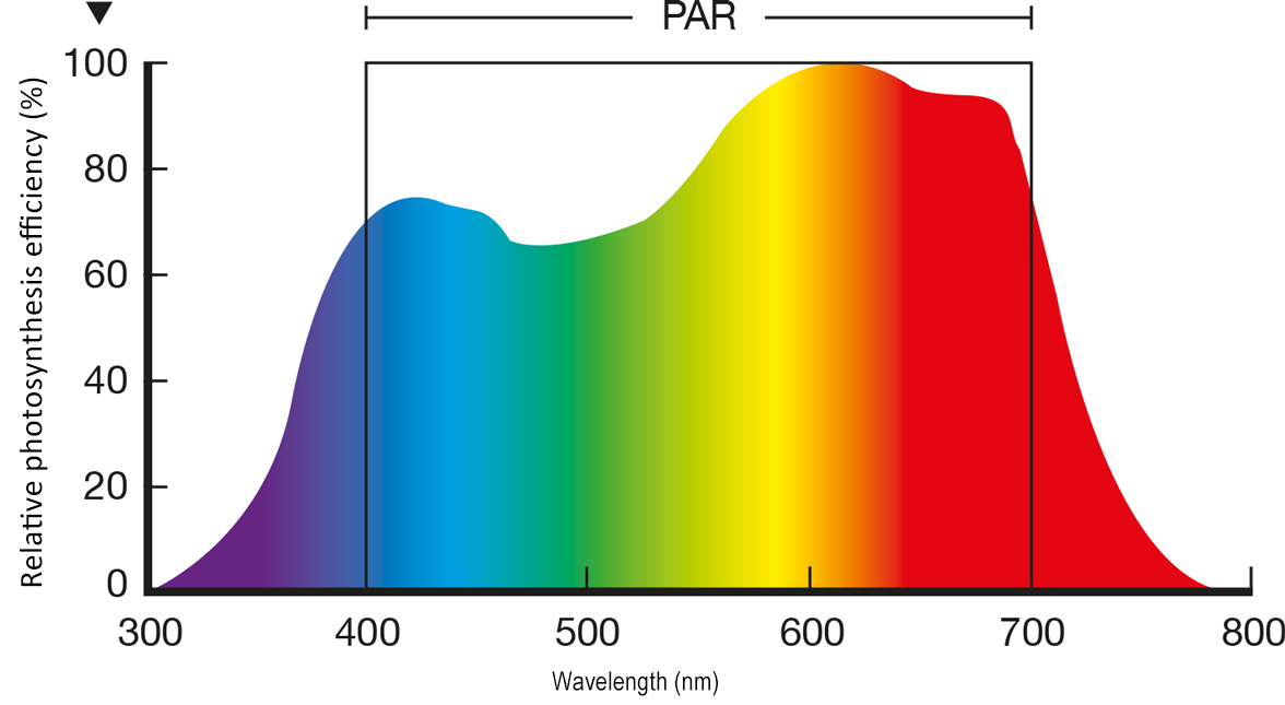 Photosynthetically Active Radiation (PAR)