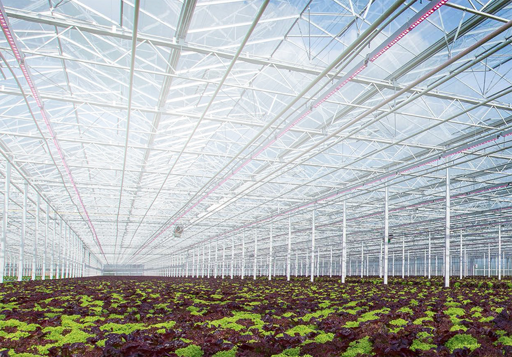 Philips GreenPower