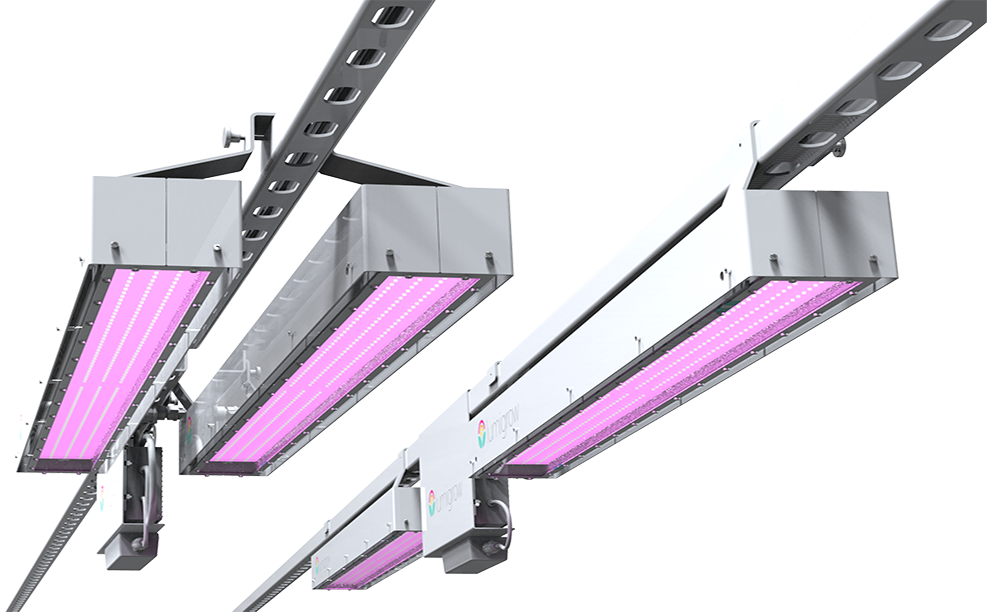LumiGrow TopLight