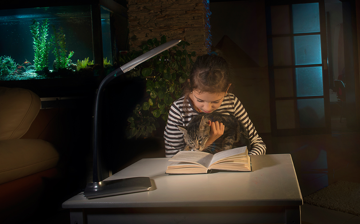 Desk Lamp