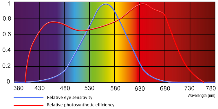 Action Spectrum