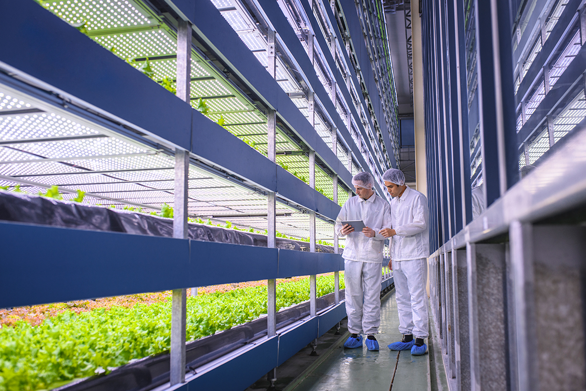 Vertical farming