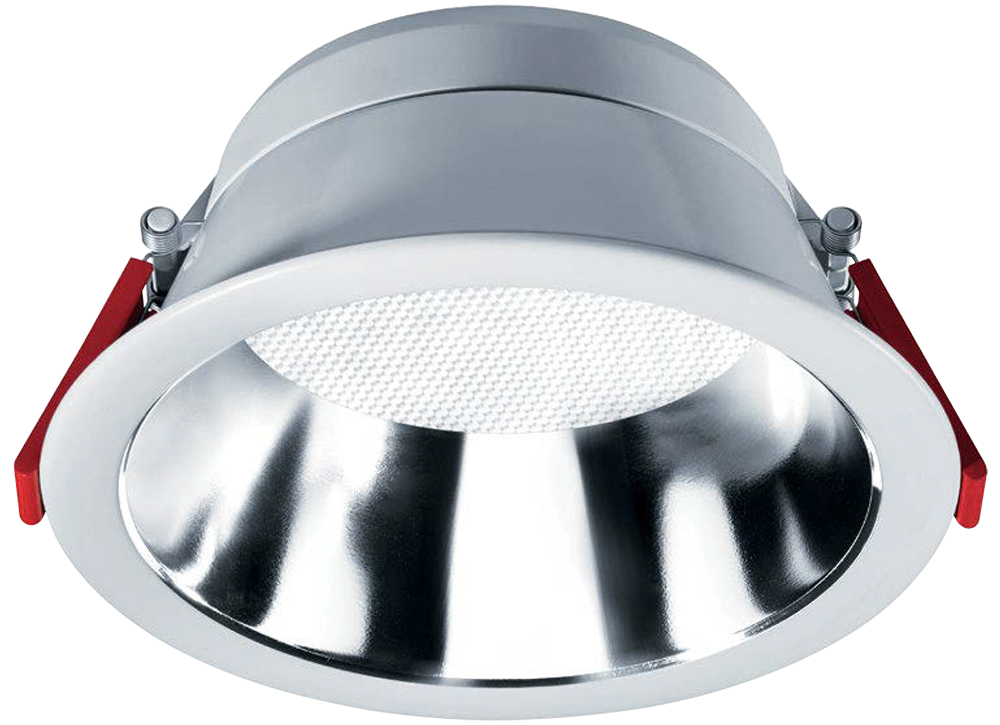 Thorn Chalice Pro